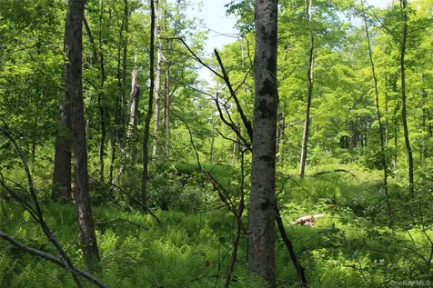 624 County Road Fremont Center NY 12736