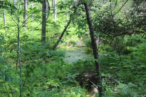 624 County Road Fremont Center NY 12736