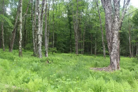 624 County Road Fremont Center NY 12736