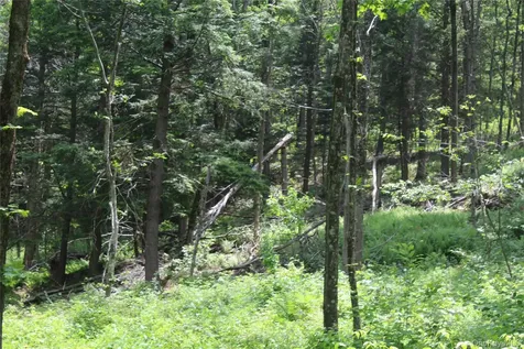 624 County Road Fremont Center NY 12736