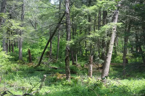 624 County Road Fremont Center NY 12736