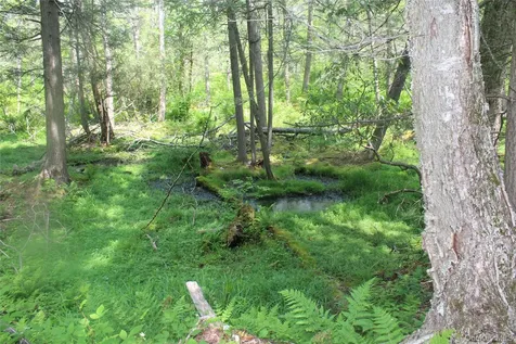 624 County Road Fremont Center NY 12736