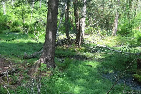 624 County Road Fremont Center NY 12736