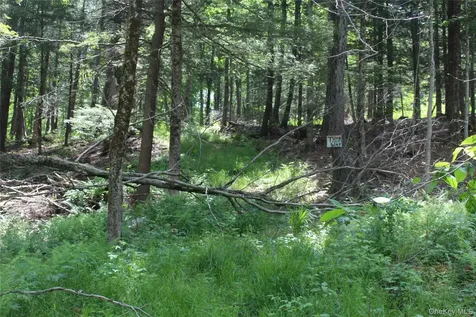 624 County Road Fremont Center NY 12736