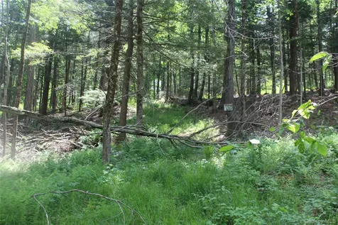 624 County Road Fremont Center NY 12736