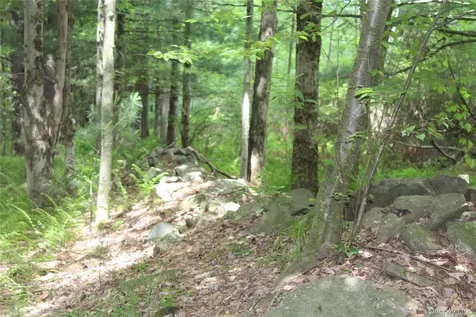 624 County Road Fremont Center NY 12736