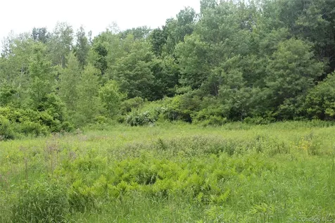 624 County Road Fremont Center NY 12736
