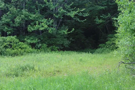 624 County Road Fremont Center NY 12736