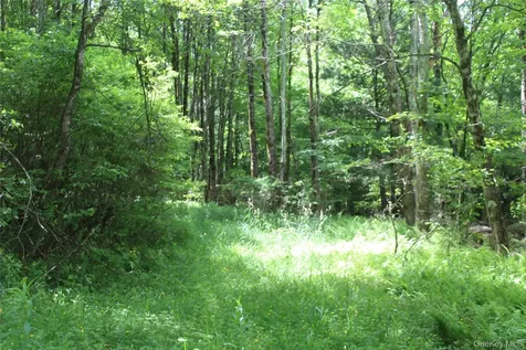 624 County Road Fremont Center NY 12736