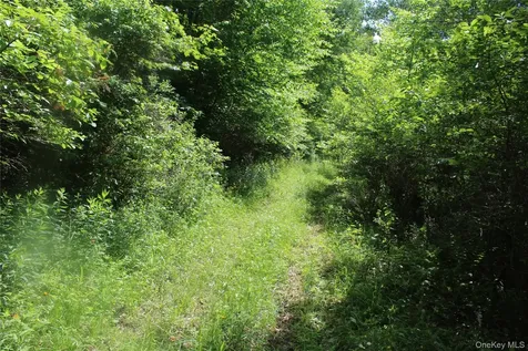 624 County Road Fremont Center NY 12736