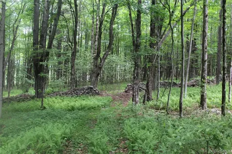 624 County Road Fremont Center NY 12736
