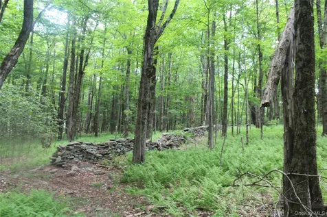 624 County Road Fremont Center NY 12736