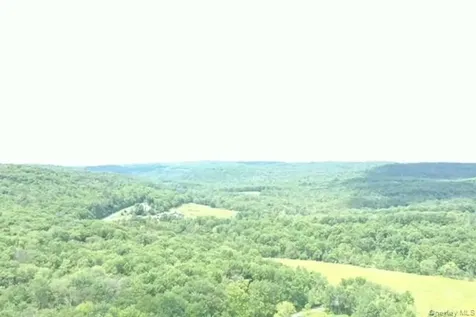 624 County Road Fremont Center NY 12736