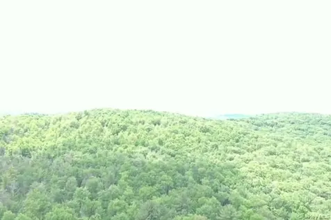 624 County Road Fremont Center NY 12736