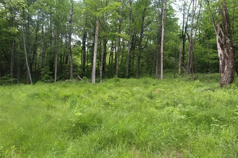 624 County Road Fremont Center NY 12736