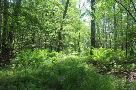624 County Road Fremont Center NY 12736
