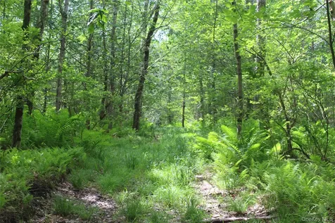 624 County Road Fremont Center NY 12736