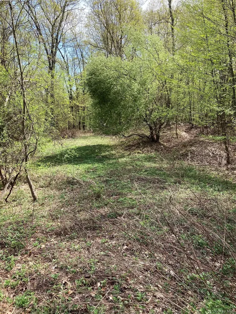 Canterbury Drive Newburgh NY 12550