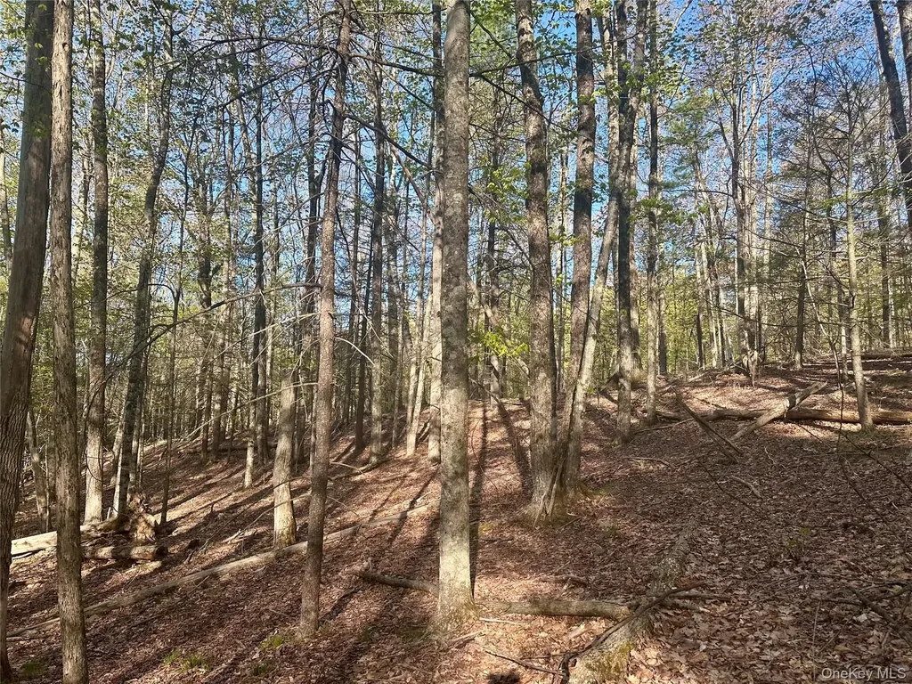 0 Lot Cross Patch Road Willow NY 12495