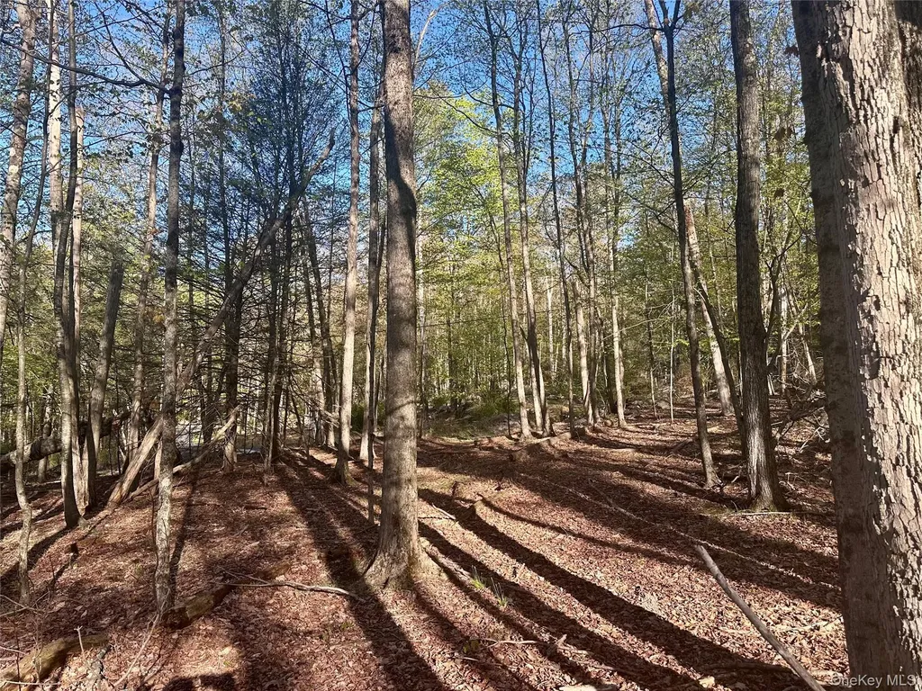0 Lot Cross Patch Road Willow NY 12495