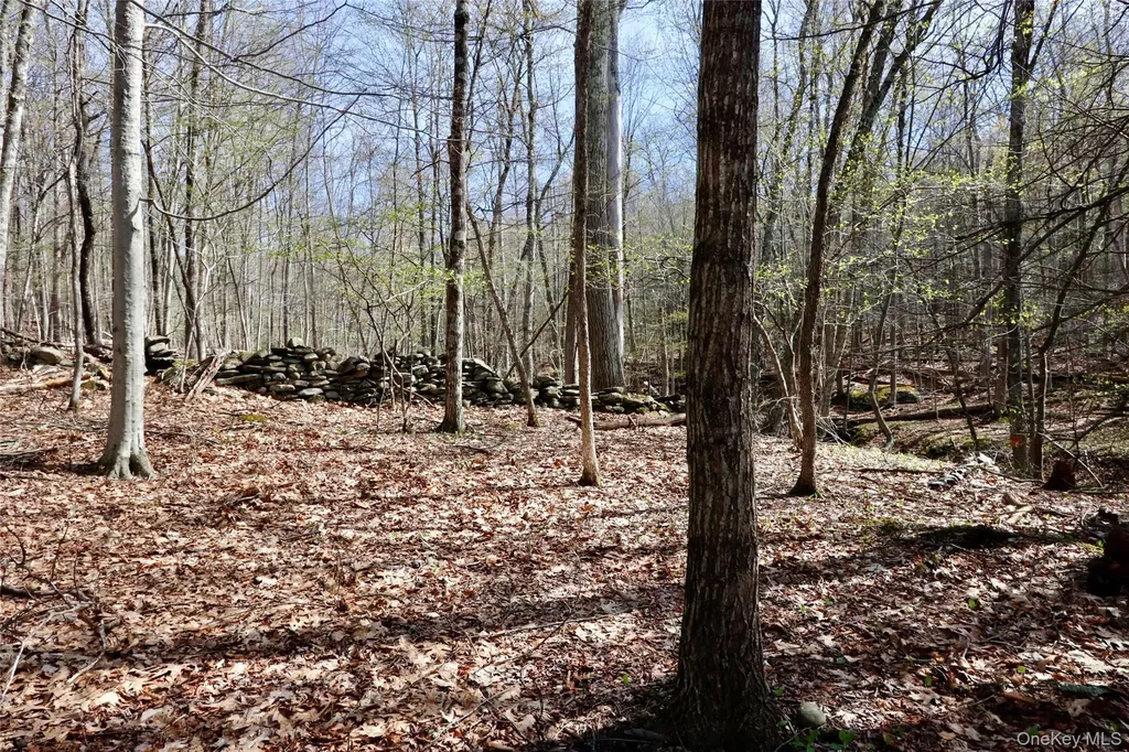 0 Lot Cross Patch Road Willow NY 12495