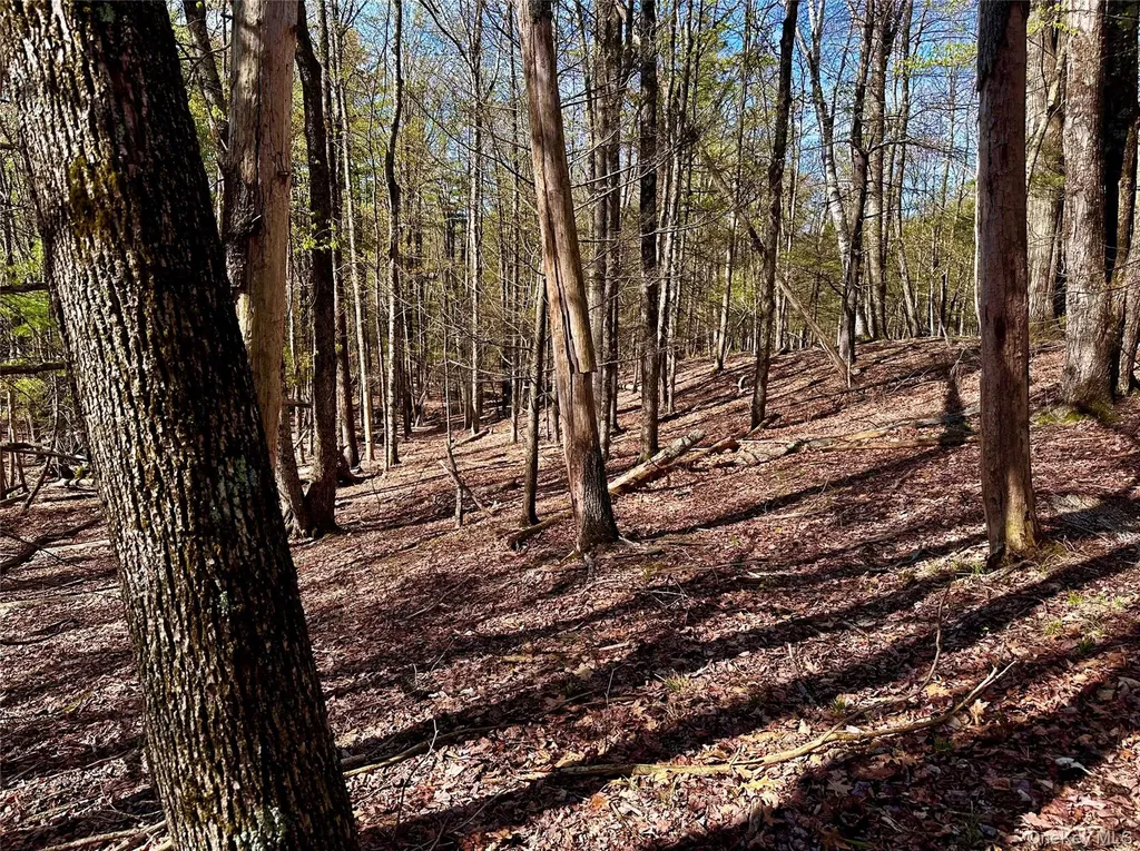 0 Lot Cross Patch Road Willow NY 12495