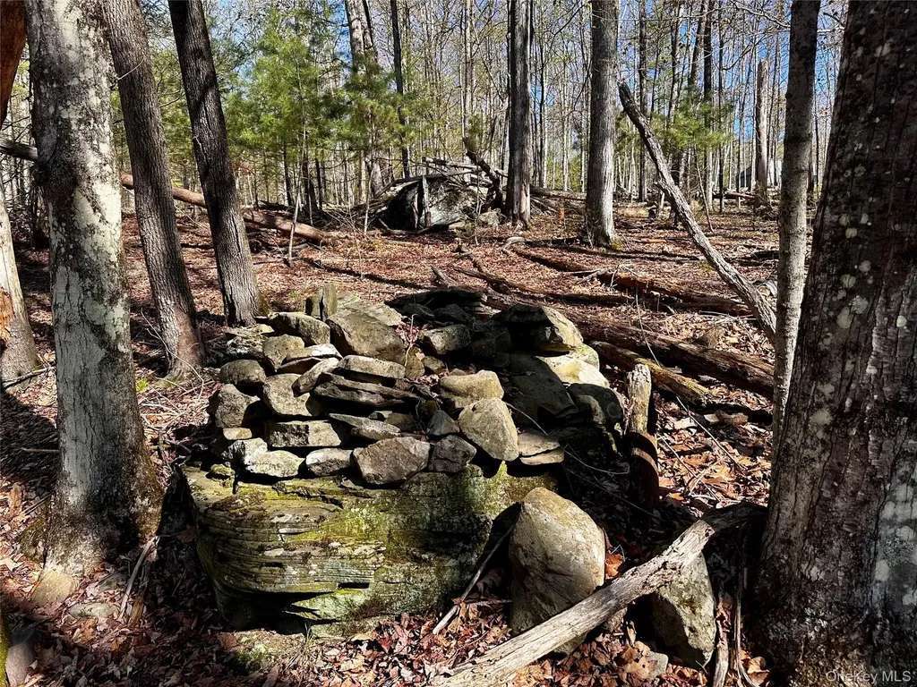 0 Lot Cross Patch Road Willow NY 12495