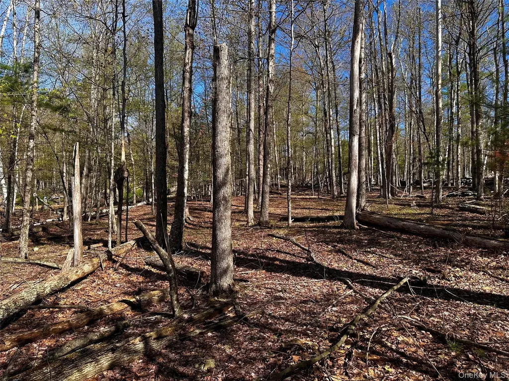 0 Lot Cross Patch Road Willow NY 12495