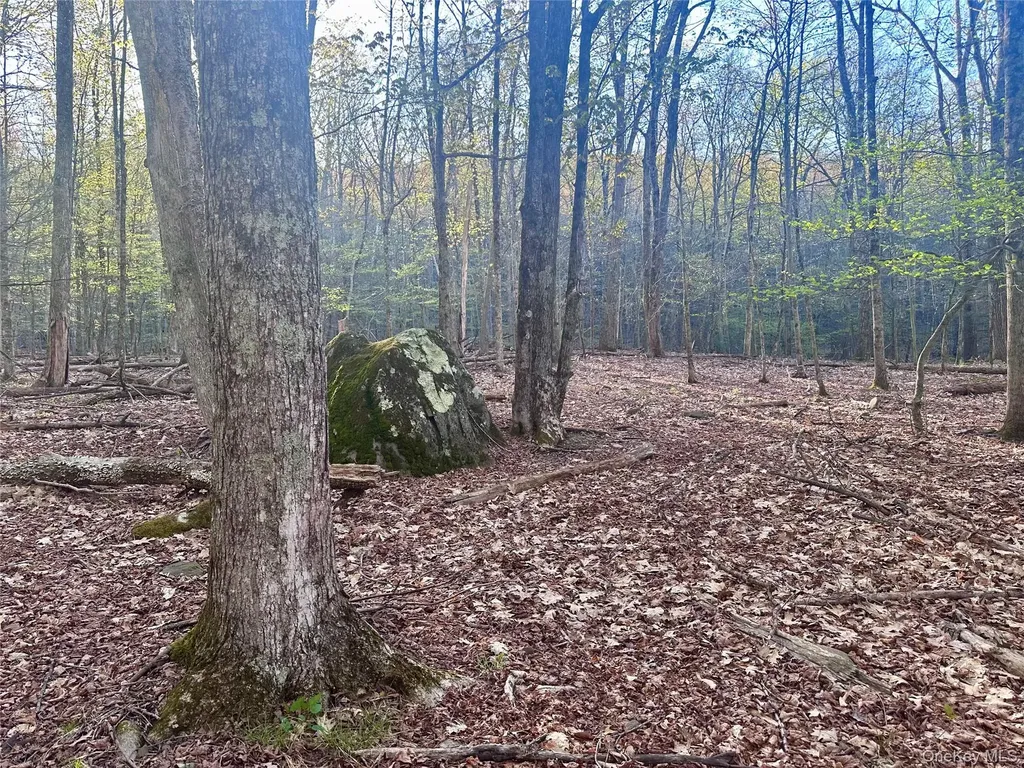 0 Lot Cross Patch Road Willow NY 12495