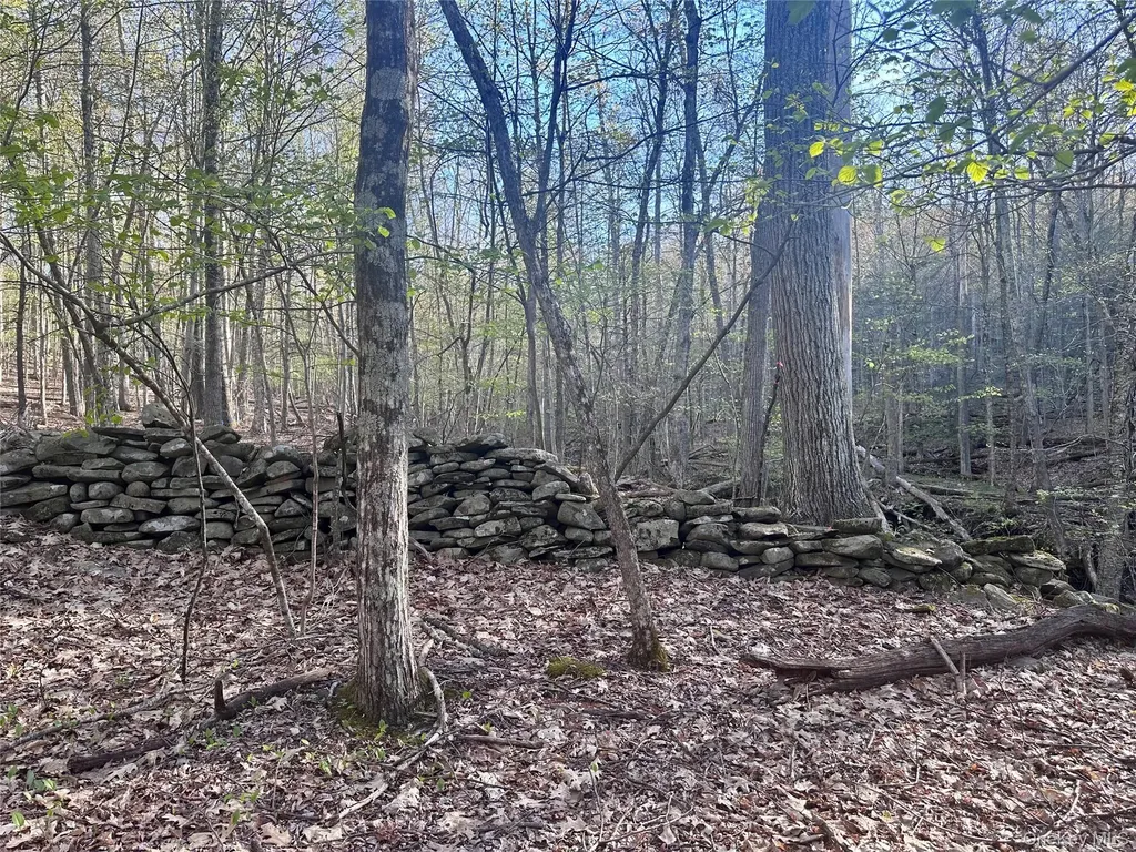 0 Lot Cross Patch Road Willow NY 12495