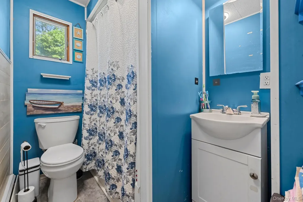 9 Brook Place East Islip NY 11730