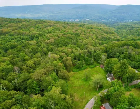 595-599 Oak Ridge Road Wawarsing NY 12428