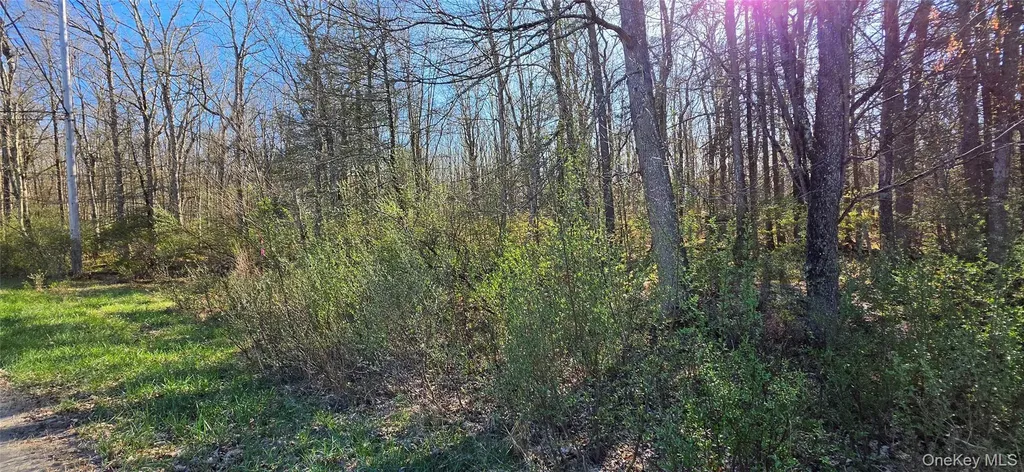 Lot 70 Cushetunk Drive Cochecton NY 12726