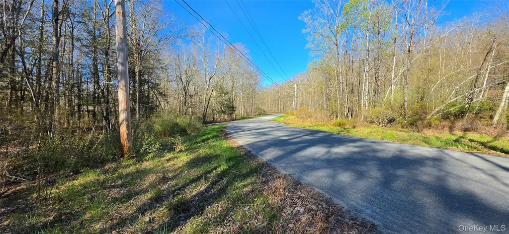 Lot 70 Cushetunk Drive Cochecton NY 12726