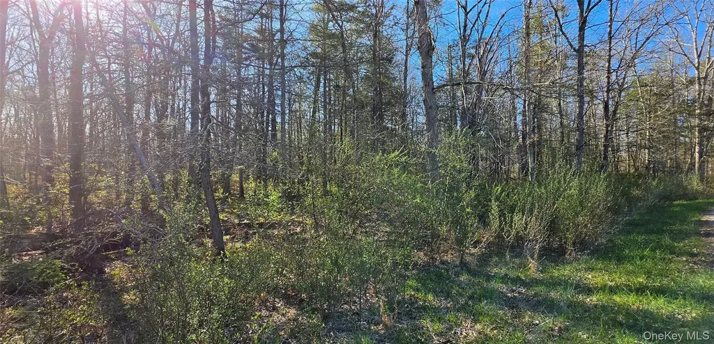 Lot 70 Cushetunk Drive Cochecton NY 12726