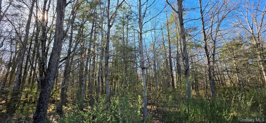 Lot 70 Cushetunk Drive Cochecton NY 12726