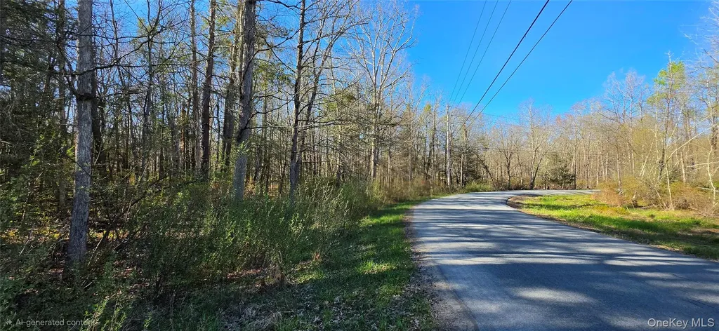 Lot 70 Cushetunk Drive Cochecton NY 12726