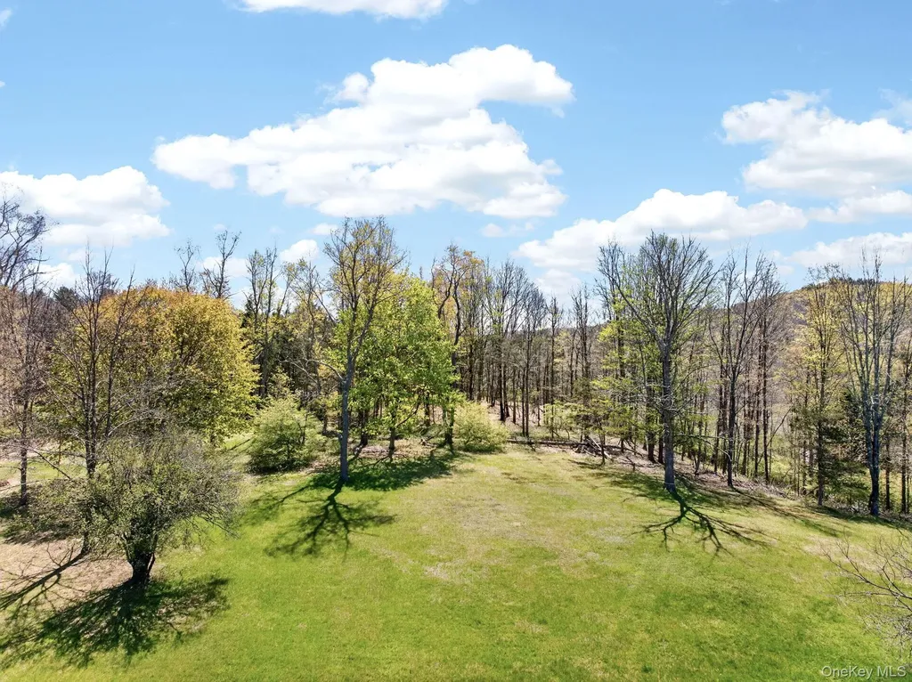 1429 Jackson Corners Road Red Hook NY 12571
