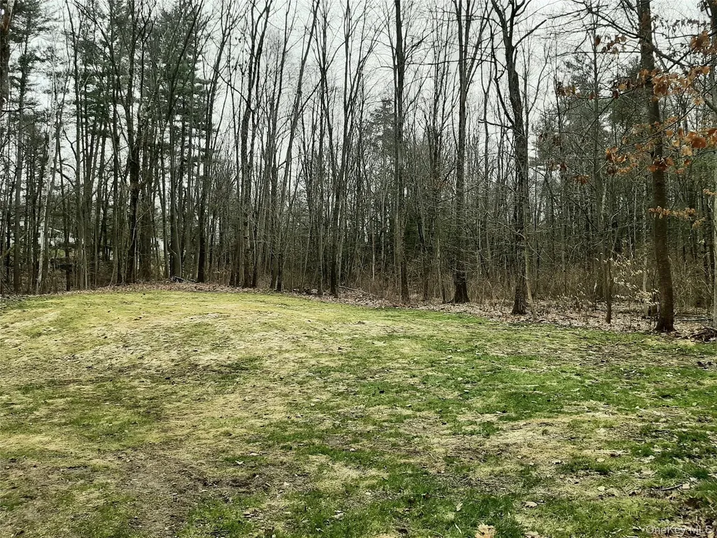 38 Pine Woods Road Hyde Park NY 12538