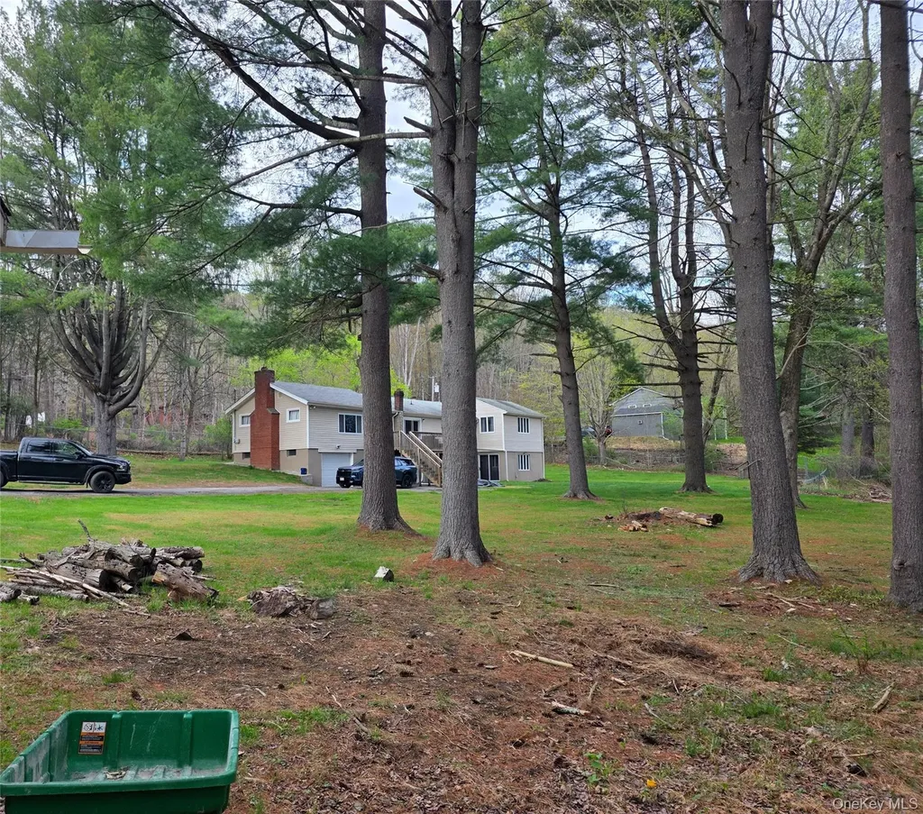 14 Andrew Paye Road Pond Eddy NY 12770