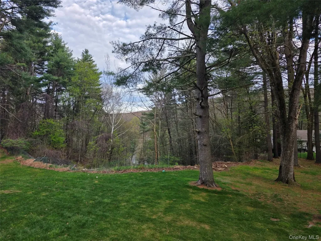 14 Andrew Paye Road Pond Eddy NY 12770