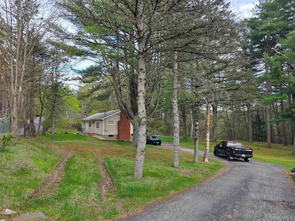 14 Andrew Paye Road Pond Eddy NY 12770