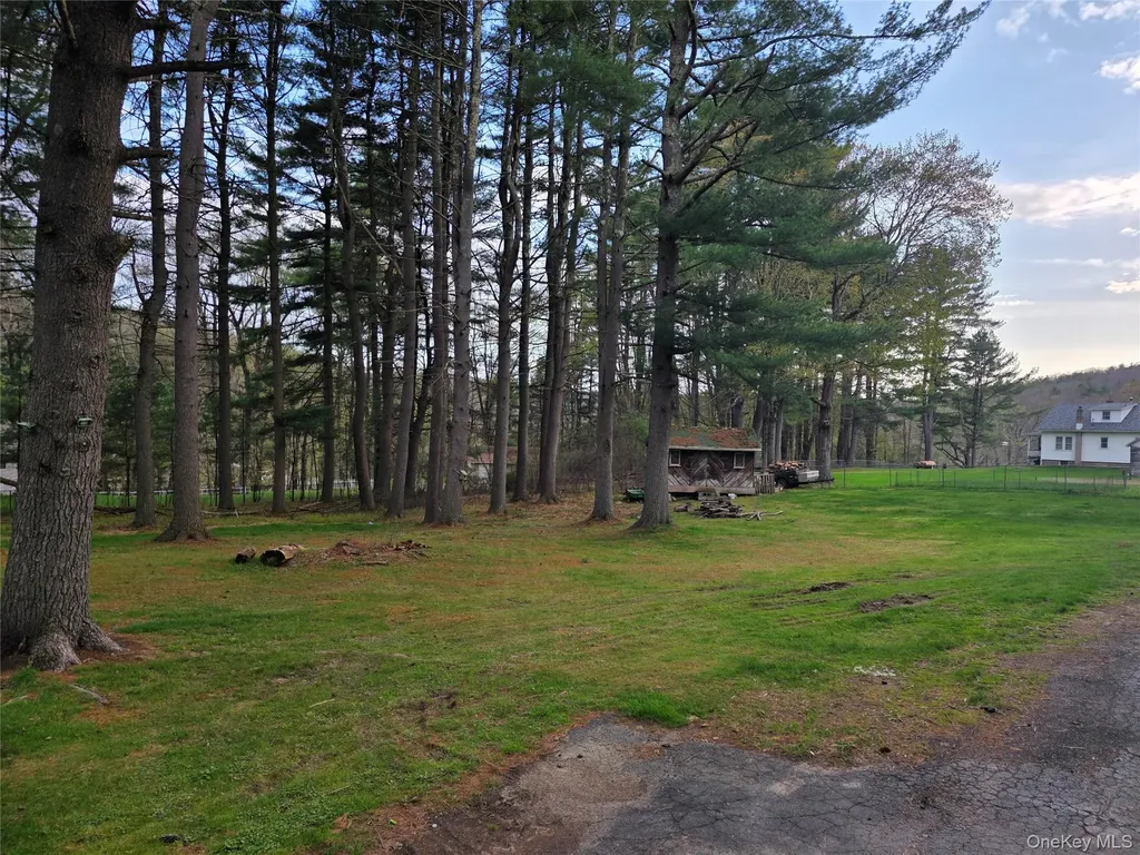 14 Andrew Paye Road Pond Eddy NY 12770