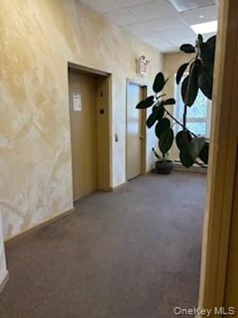 6045 Eliot Avenue Maspeth NY 11378
