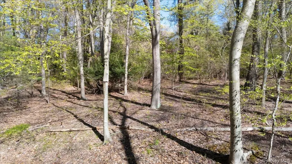 7 Spring Hill Nissequogue NY 11780
