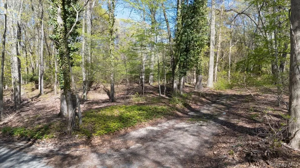 7 Spring Hill Nissequogue NY 11780