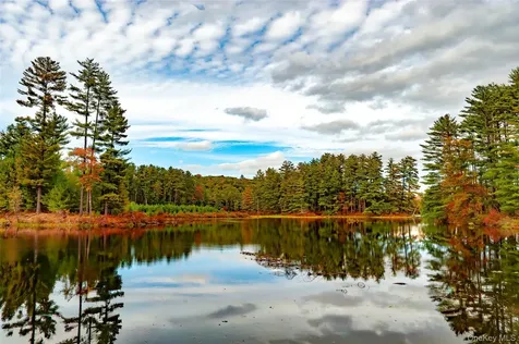 465 Schalck Road Narrowsburg NY 12764