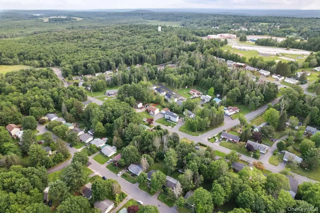 162 Park Avenue Monticello NY 12701