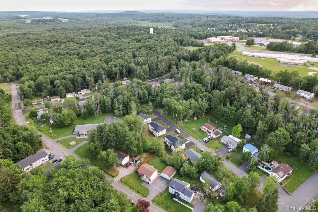 162 Park Avenue Monticello NY 12701