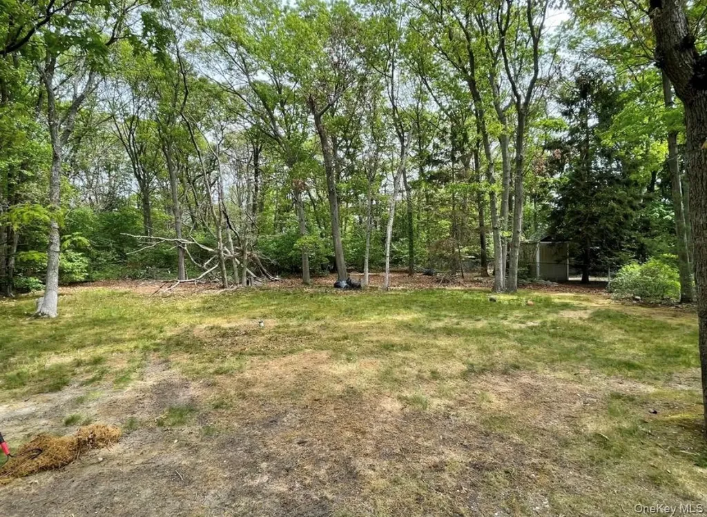 Ronkonkoma NY 11779